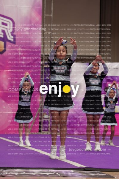 Joy08 Joy06687