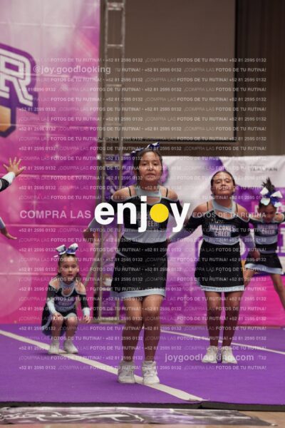 Joy08 Joy06690