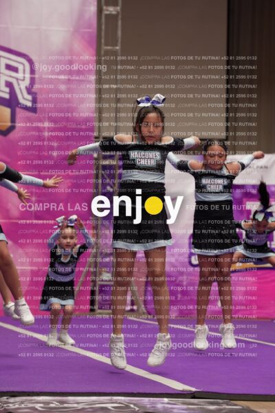Joy08 Joy06691