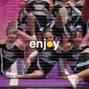 Joy08 Joy06711