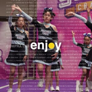 Joy08 Joy06712