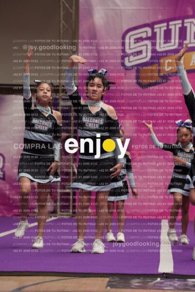 Joy08 Joy06713