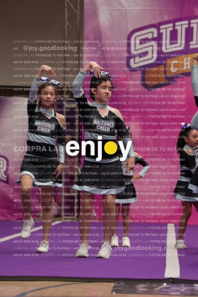 Joy08 Joy06714