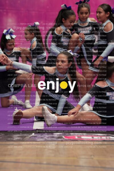 Joy08 Joy06723