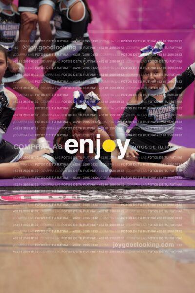 Joy08 Joy06724