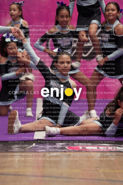 Joy08 Joy06725