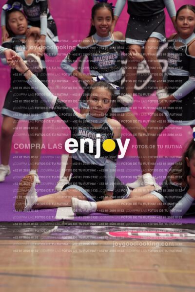 Joy08 Joy06728