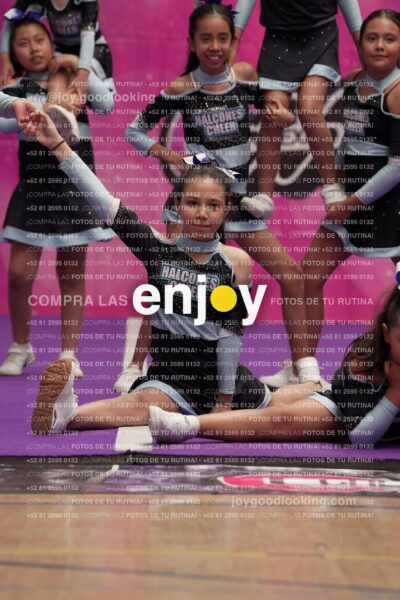 Joy08 Joy06729