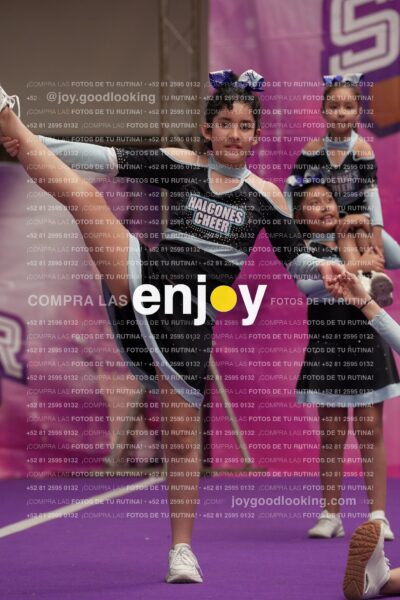 Joy08 Joy06730