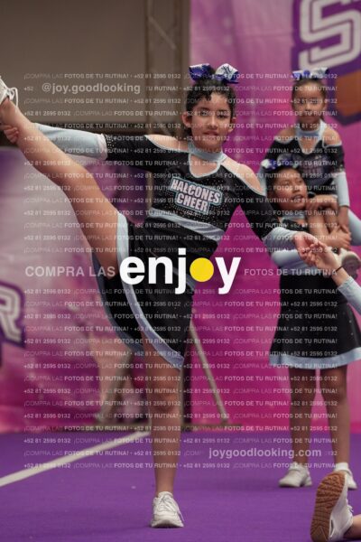 Joy08 Joy06731