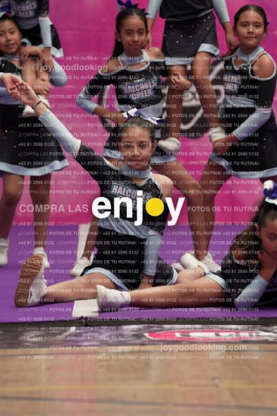 Joy08 Joy06732