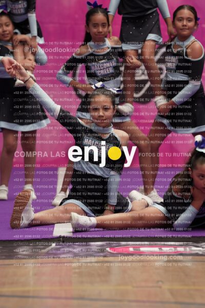 Joy08 Joy06733