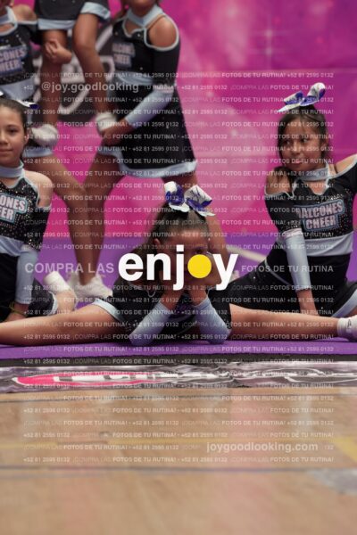 Joy08 Joy06735