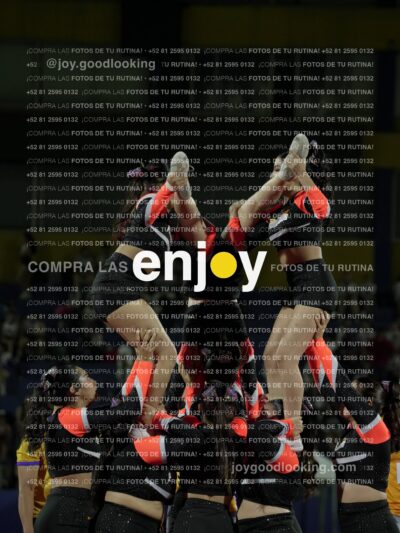 Joy09145