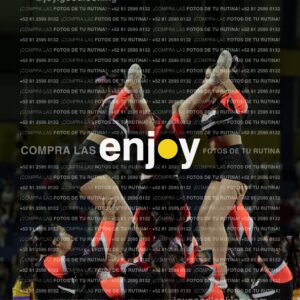 Joy09145