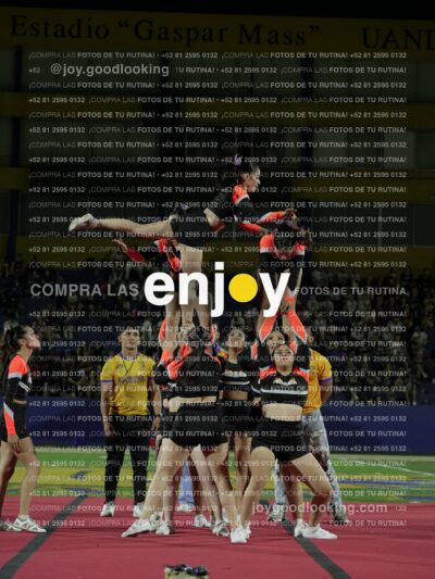 Joy09159