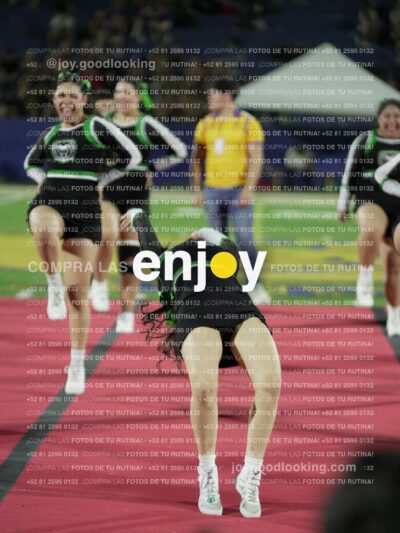 Joy09236