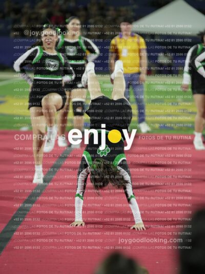 Joy09238