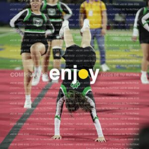 Joy09238