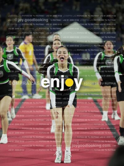 Joy09293