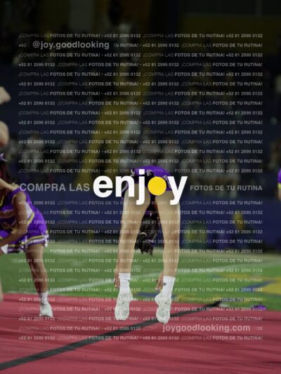 Joy09441