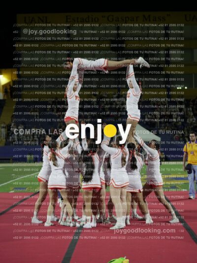 Joy09615