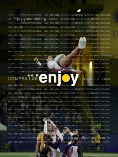Joy09847