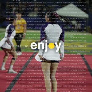 Joy09864