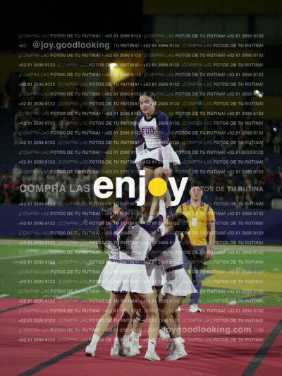 Joy09871