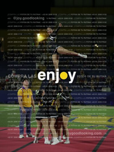 Joy09998