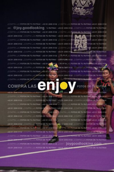 Joy09 Joy06767
