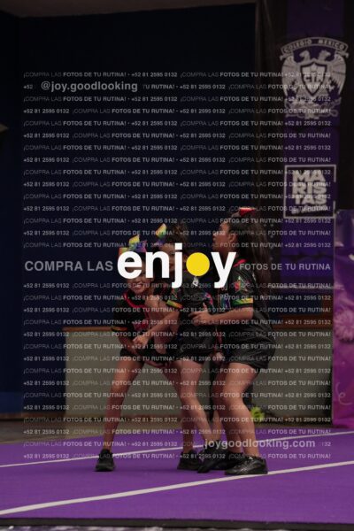 Joy09 Joy06866