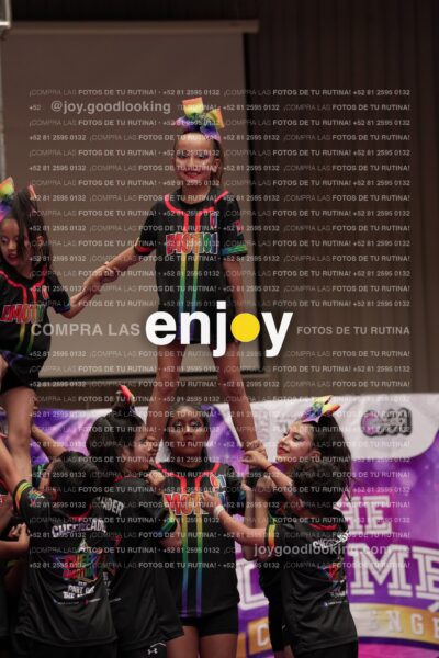Joy09 Joy06921