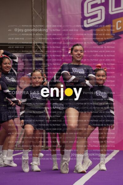 Joy10 Joy06984