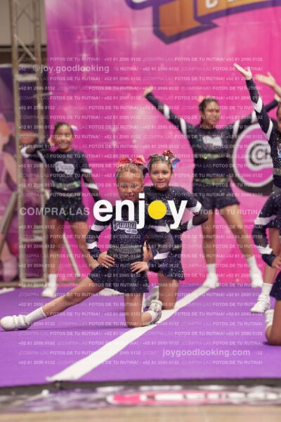 Joy10 Joy07177