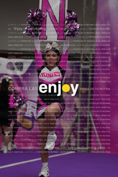 Joy11 Joy07191