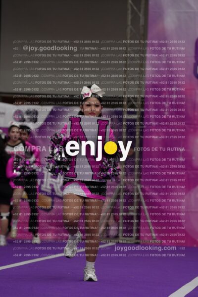Joy11 Joy07195
