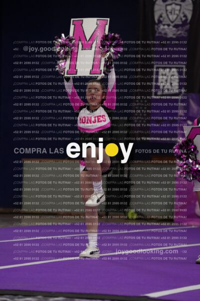 Joy11 Joy07209