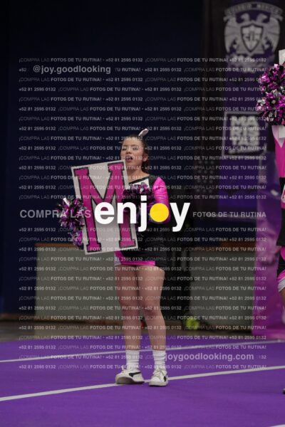 Joy11 Joy07211