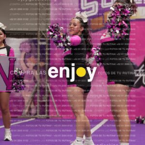 Joy11 Joy07219
