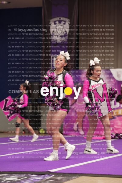 Joy11 Joy07231