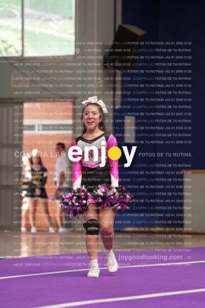 Joy11 Joy07236
