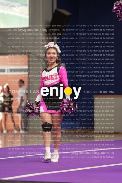 Joy11 Joy07237