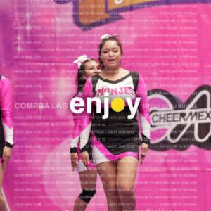 Joy11 Joy07273