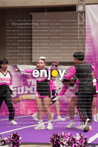 Joy11 Joy07295