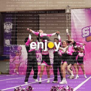 Joy11 Joy07297