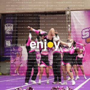 Joy11 Joy07298