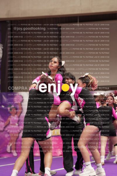 Joy11 Joy07308