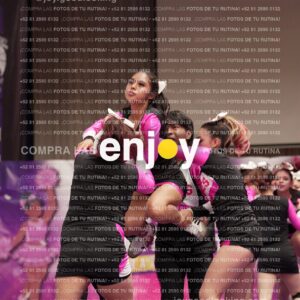 Joy11 Joy07308