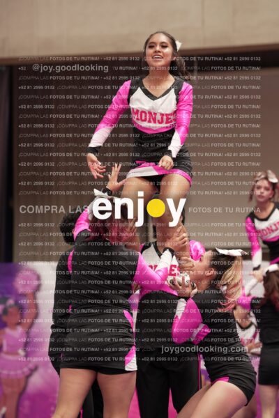 Joy11 Joy07309